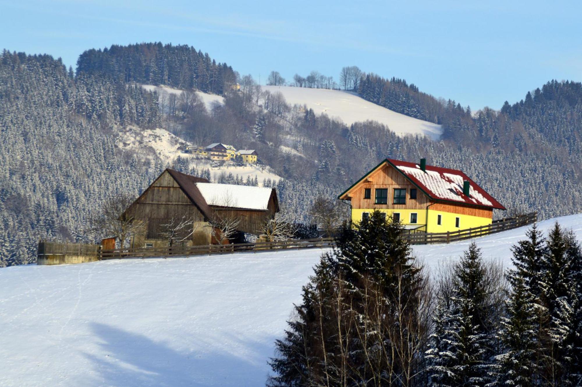 Almferienhaus Russmann Frantschach Exteriör bild